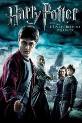 Garri Potter 6: Tilsim shahzodasi