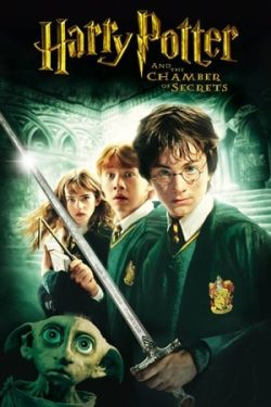Poster Garri Potter 2: Maxfiy xujra