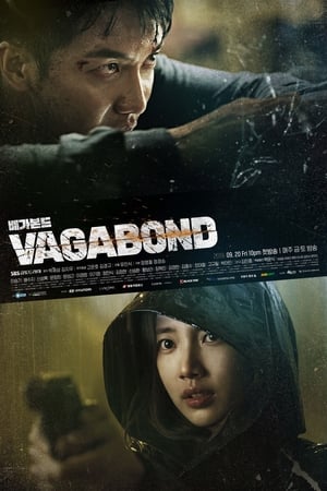 Darbadar Vagabond poster