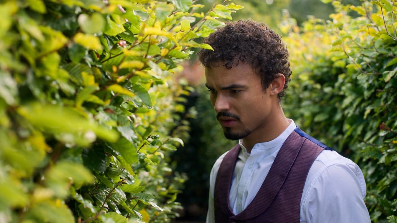 Zamonaviy xonimlar / Bukanyerlar 5-qism