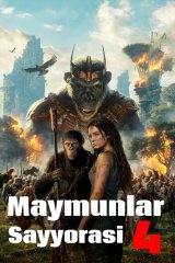 Maymunlar Sayyorasi 4 Yangi qirollik