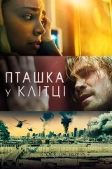 Qafasdagi qush: Zararlanish